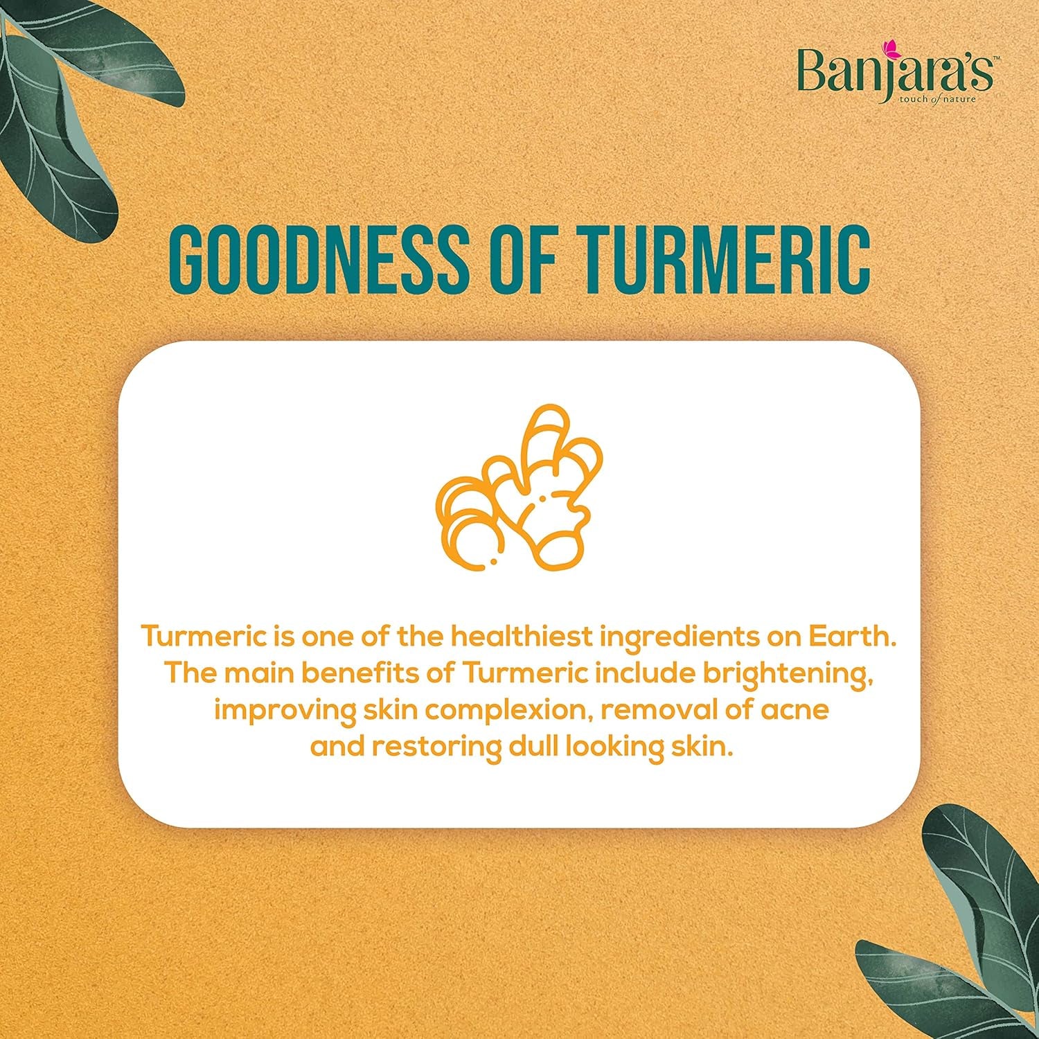 Powder Touch of Nature Skin Care Turmeric Kasturi Powder, for Flawless Skin, 11 Cm X 8 Cm Size
